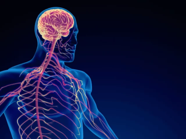 Jak neuromobilizacja wpływa na układ nerwowy i co możesz na tym zyskać?