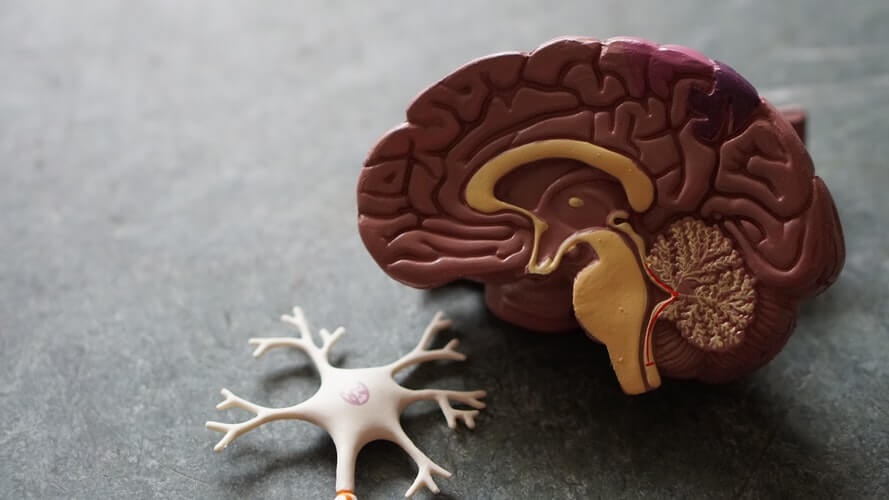 Rehabilitacja neurologiczna