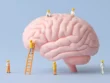 Neuroplastyczność mózgu. Jak układ nerwowy uczy się na nowo ruchu?
