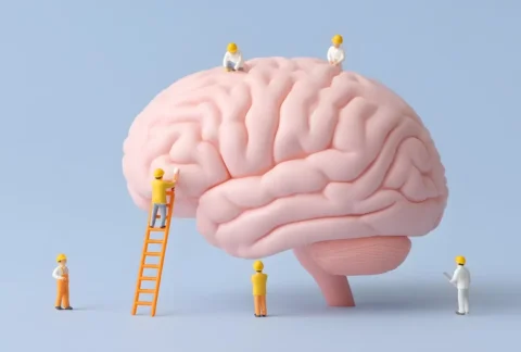 Neuroplastyczność mózgu. Jak układ nerwowy uczy się na nowo ruchu?