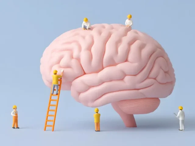Neuroplastyczność mózgu. Jak układ nerwowy uczy się na nowo ruchu?